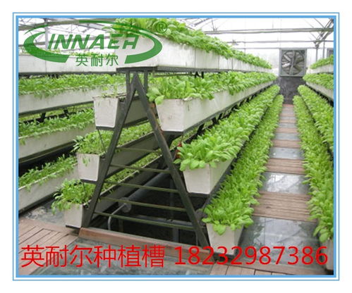 新型草莓種植槽與番茄基質槽 蔬菜專用槽的價格、圖片與批發指南