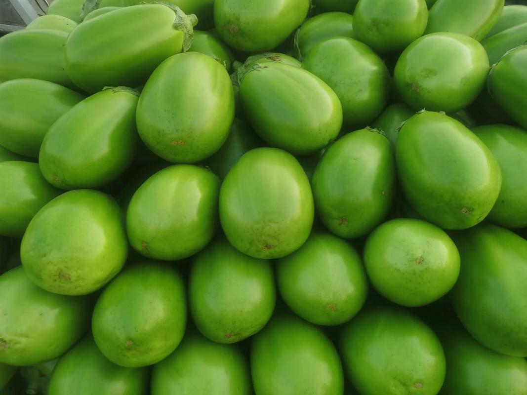 最苦的力，最鮮的菜，最賤的價(jià)——誰(shuí)傷了菜農(nóng)的心？